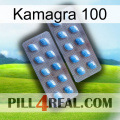 Kamagra 100 viagra4